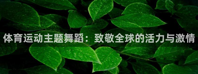 球速体育