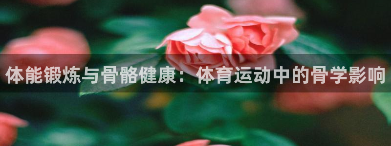球速体育：体能锻炼与骨骼健康：体育运动中的骨学影响
