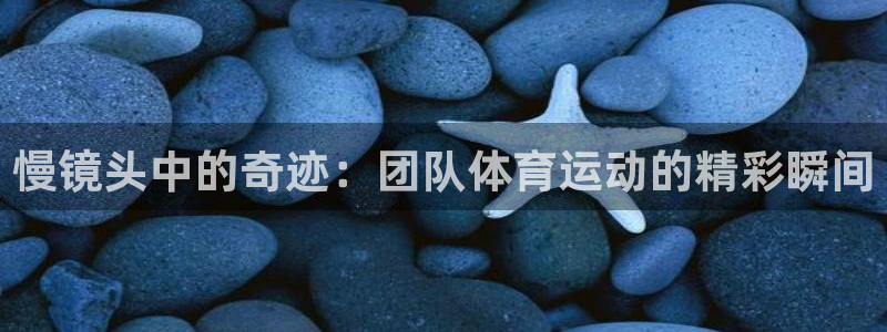 球速体育：慢镜头中的奇迹：团队体育运动的精彩瞬间