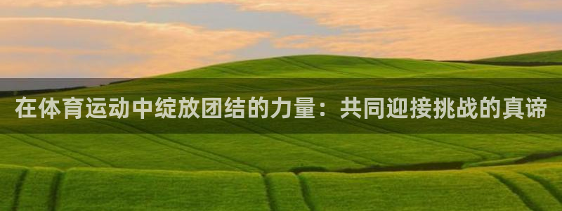 球速体育：在体育运动中绽放团结的力量：共同迎接挑战的真谛