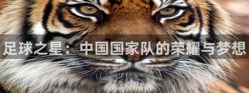 球速体育：足球之星：中国国家队的荣耀与梦想