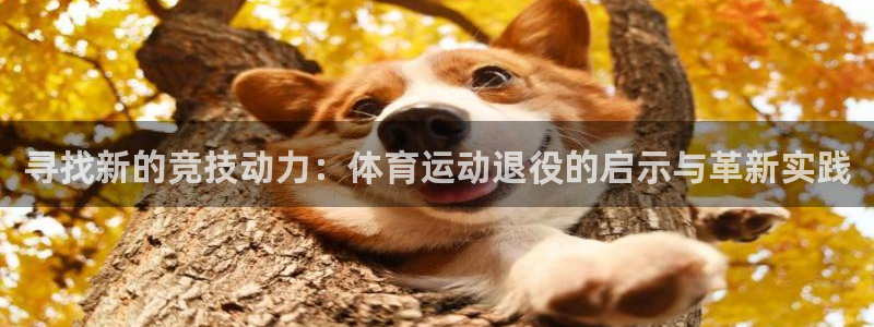 球速体育：寻找新的竞技动力：体育运动退役的启示与革新实践
