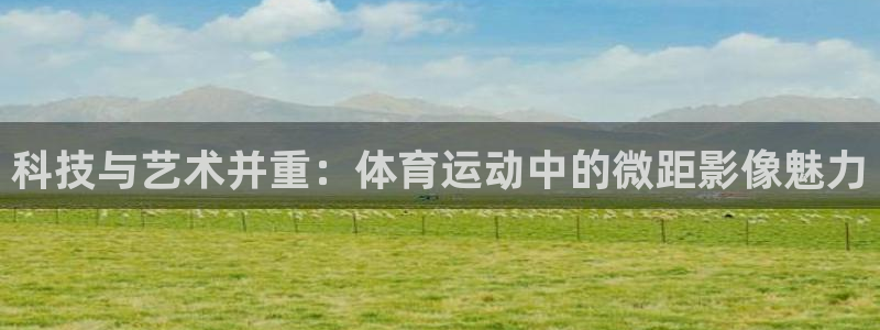 球速体育：科技与艺术并重：体育运动中的微距影像魅力