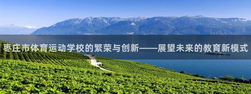 球速体育：枣庄市体育运动学校的繁荣与创新——展望未来的教育新模式
