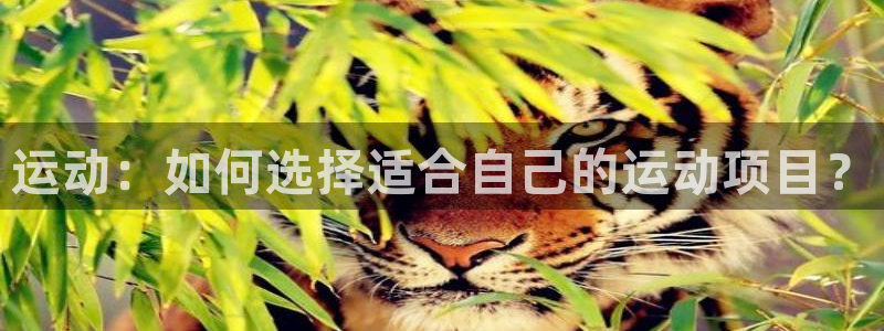 球速体育：运动：如何选择适合自己的运动项目？