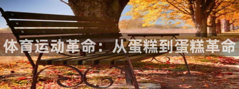 球速体育：体育运动革命：从蛋糕到蛋糕革命