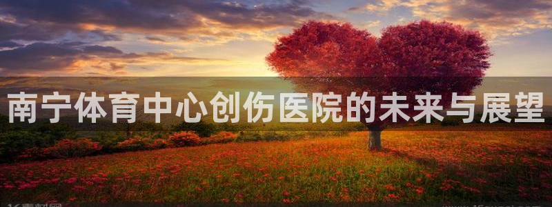 球速体育：南宁体育中心创伤医院的未来与展望