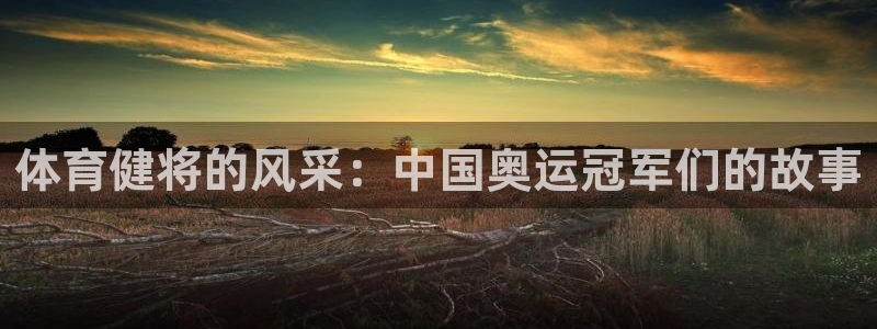 球速体育：体育健将的风采：中国奥运冠军们的故事