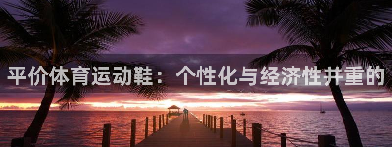 球速体育：平价体育运动鞋：个性化与经济性并重的