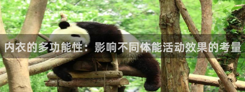 球速体育：内衣的多功能性：影响不同体能活动效果的考量