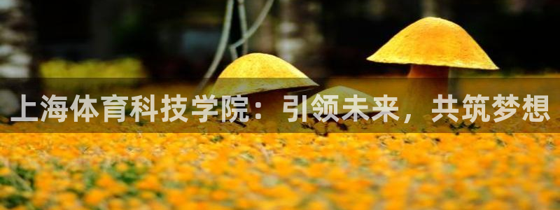 球速体育：上海体育科技学院：引领未来，共筑梦想