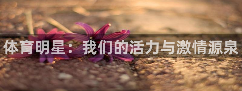 球速体育：体育明星：我们的活力与激情源泉
