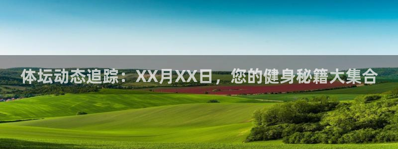 球速体育：体坛动态追踪：XX月XX日，您的健身秘籍大集合