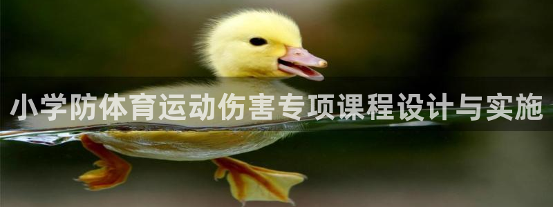 球速体育：小学防体育运动伤害专项课程设计与实施
