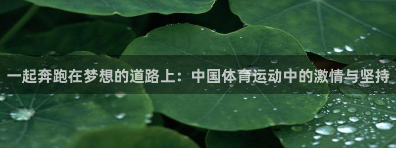 球速体育：一起奔跑在梦想的道路上：中国体育运动中的激情与坚持