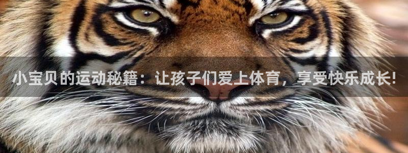 球速体育：小宝贝的运动秘籍：让孩子们爱上体育，享受快乐成长!