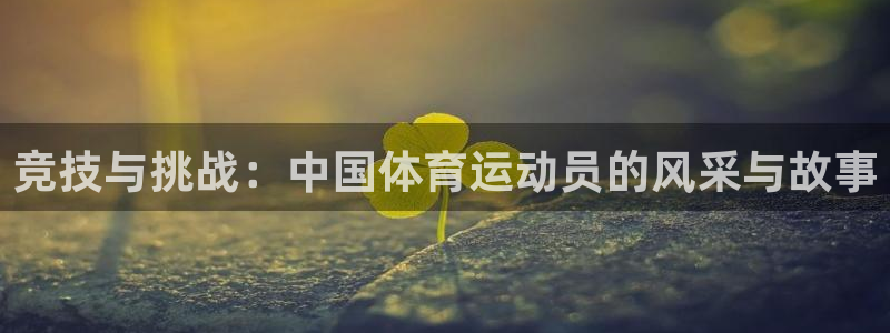 球速体育：竞技与挑战：中国体育运动员的风采与故事